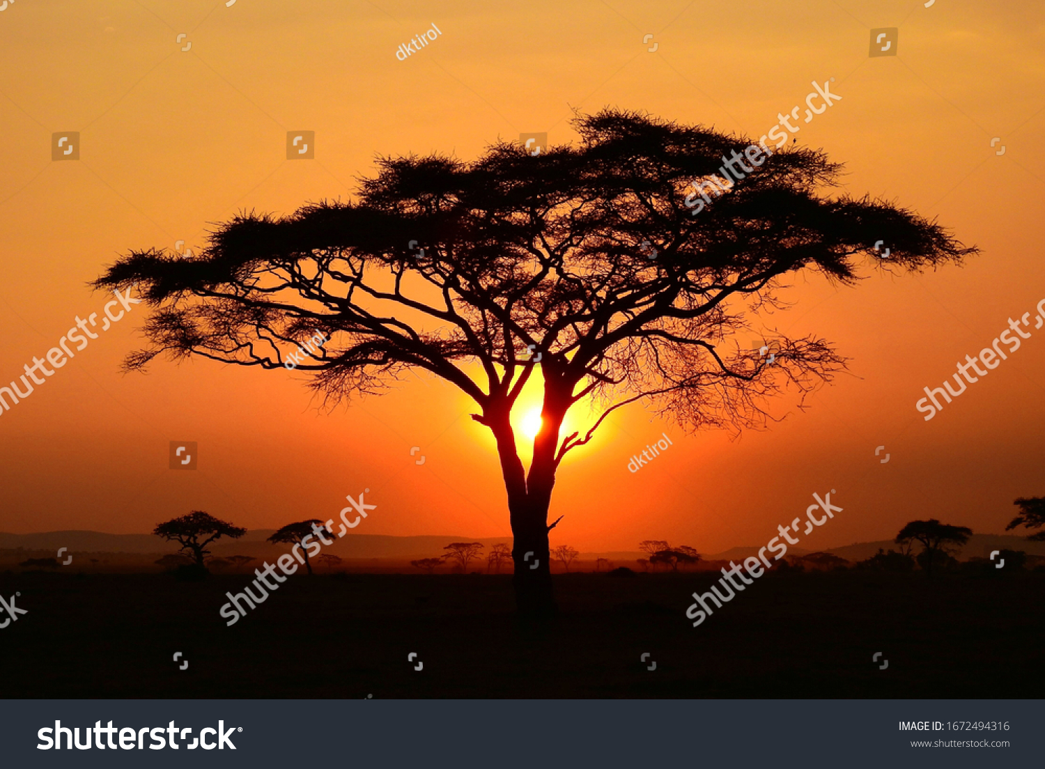 South african landscapes Images, Stock Photos & Vectors | Shutterstock