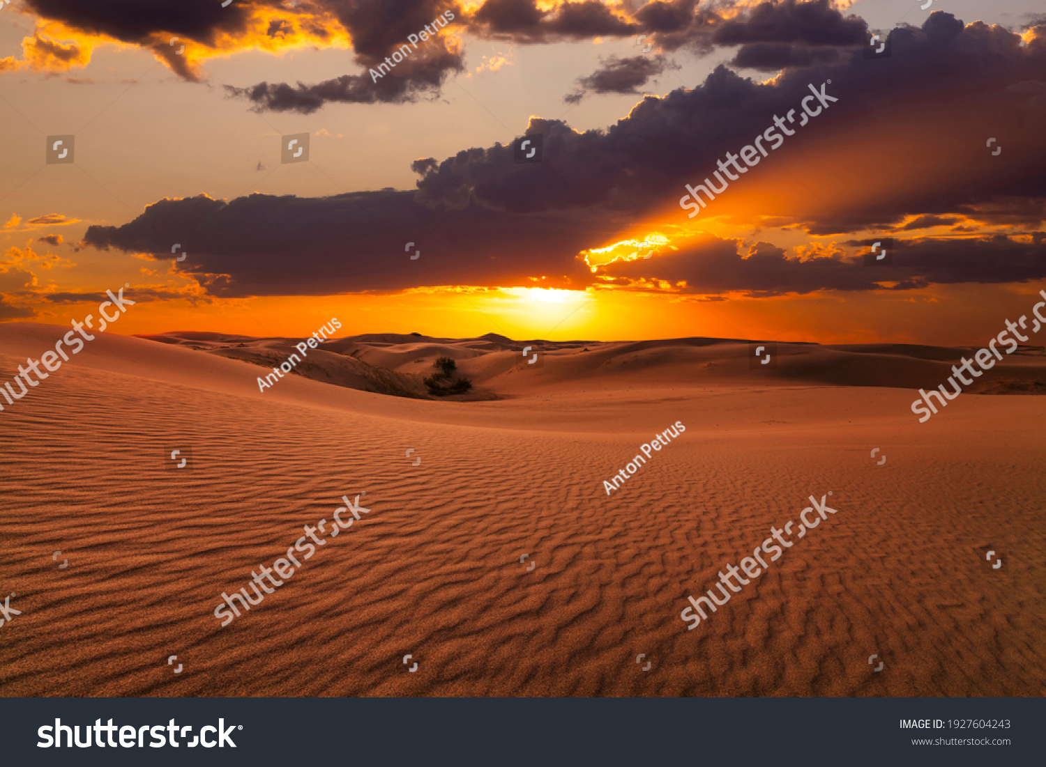 Beautiful sunset over the sand dunes in the Arabian Empty Quarter Desert, UAE. Rub' al Khali