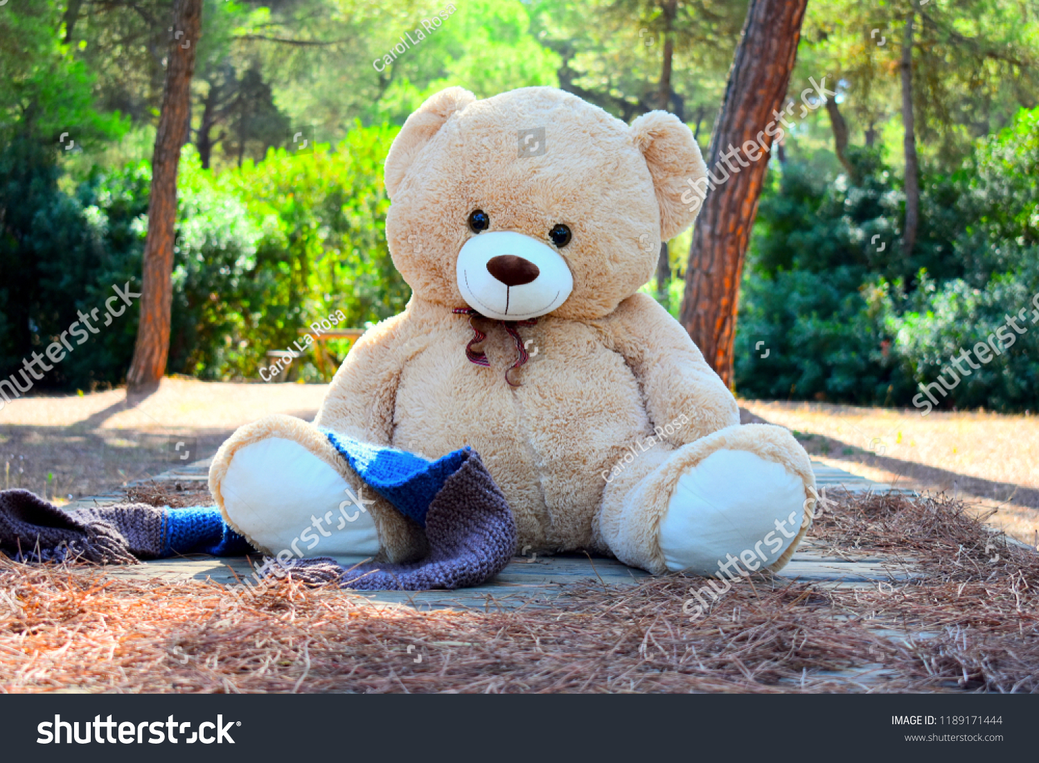 Bear wallpaper teddy 39 Teddy