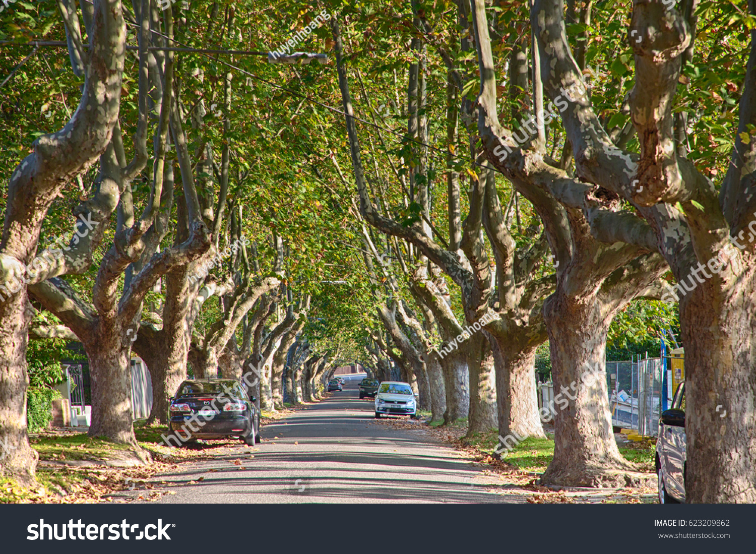 Canterbury australia