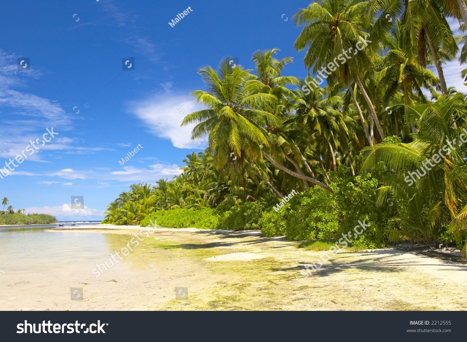 Beautiful Tropical Forest On Beach Indian Stock Photo 2212555 ...