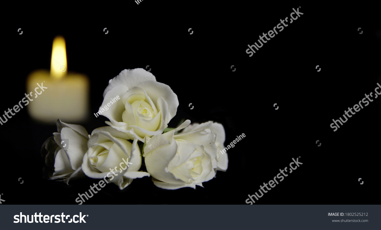 8,921 Memorial candles flowers Images, Stock Photos & Vectors