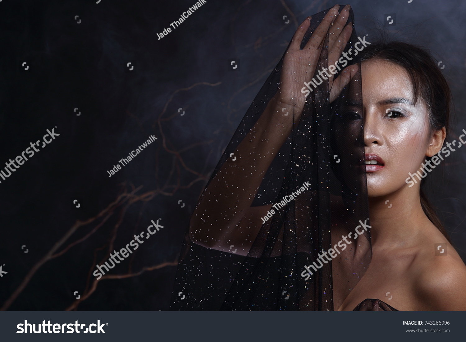 Beautiful Witchcraft Asian Woman In Scary Witch Snow Ghost Story Look Nake Shoulders Studio Lighting Beautiful Witchcraft Asian Woman In Scary Witch Snow Ghost Story Look Nake Shoulders Studio Lighting
