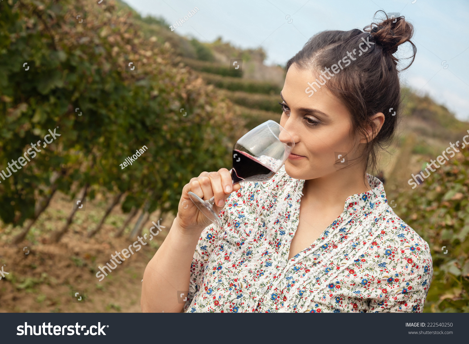 Beautiful Young Woman Drinking Wine In Vineyard Stock Photo 222540250 ...