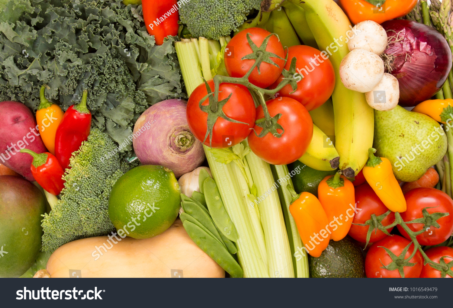 Beautify Array Fresh Fruits Vegetables Stock Photo 1016549479 ...