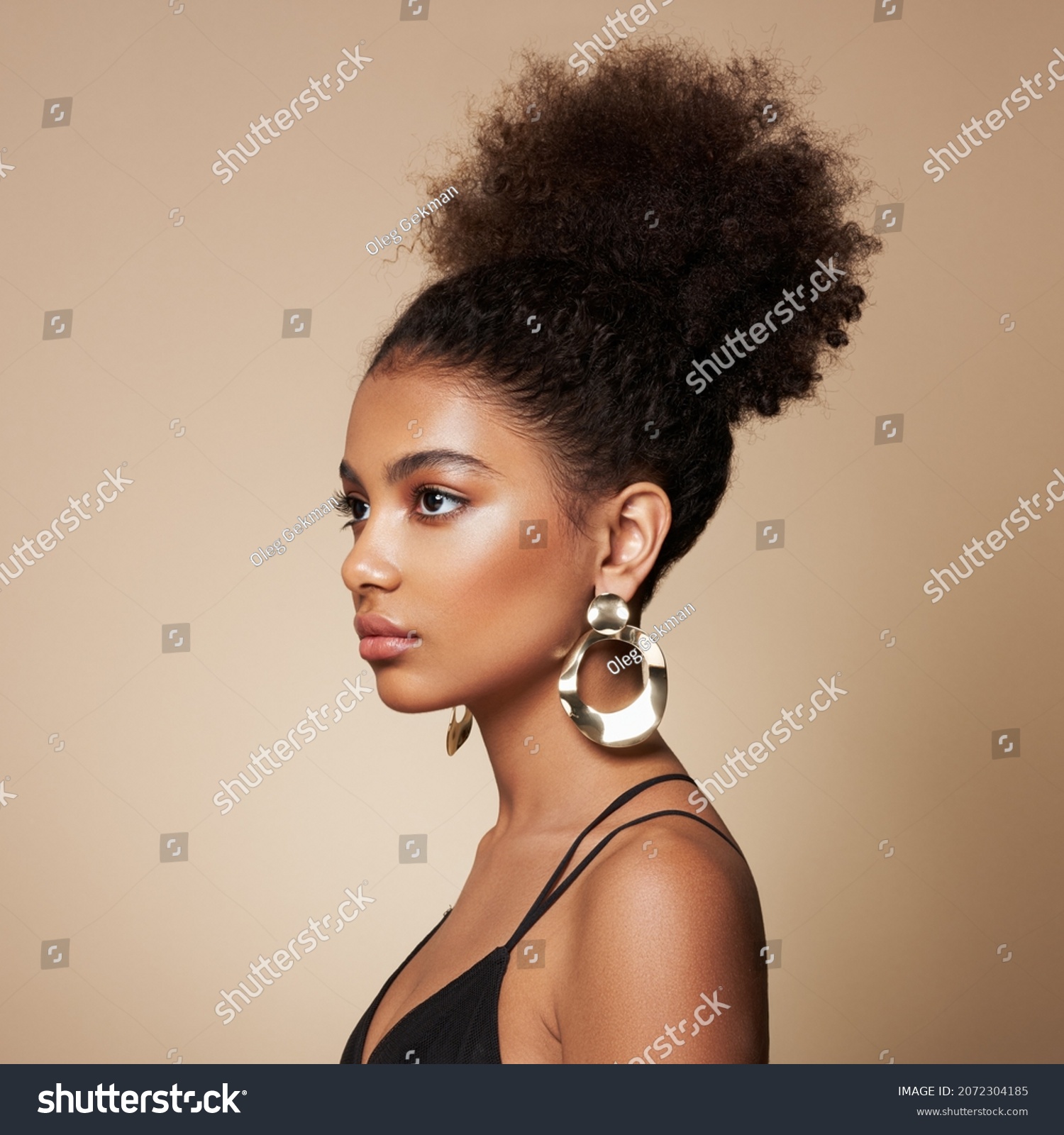 Beauty Portrait African American Girl Afro Stock Photo 2072304185 ...