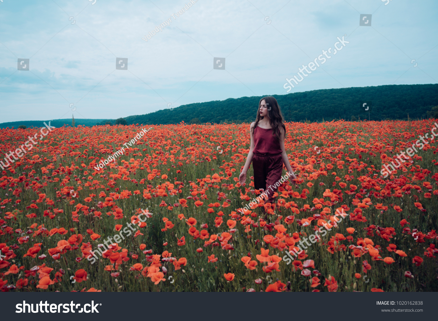 Beauty Summer Spring Poppy Seed Woman Stock Photo Edit Now