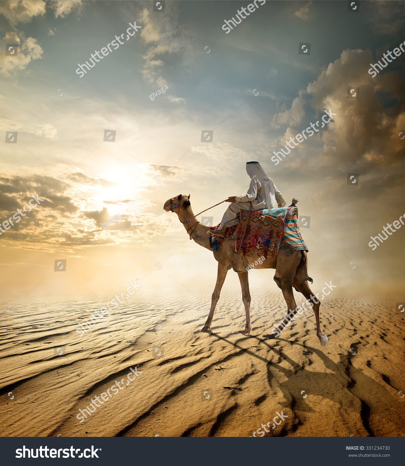 camel sandy travel stable