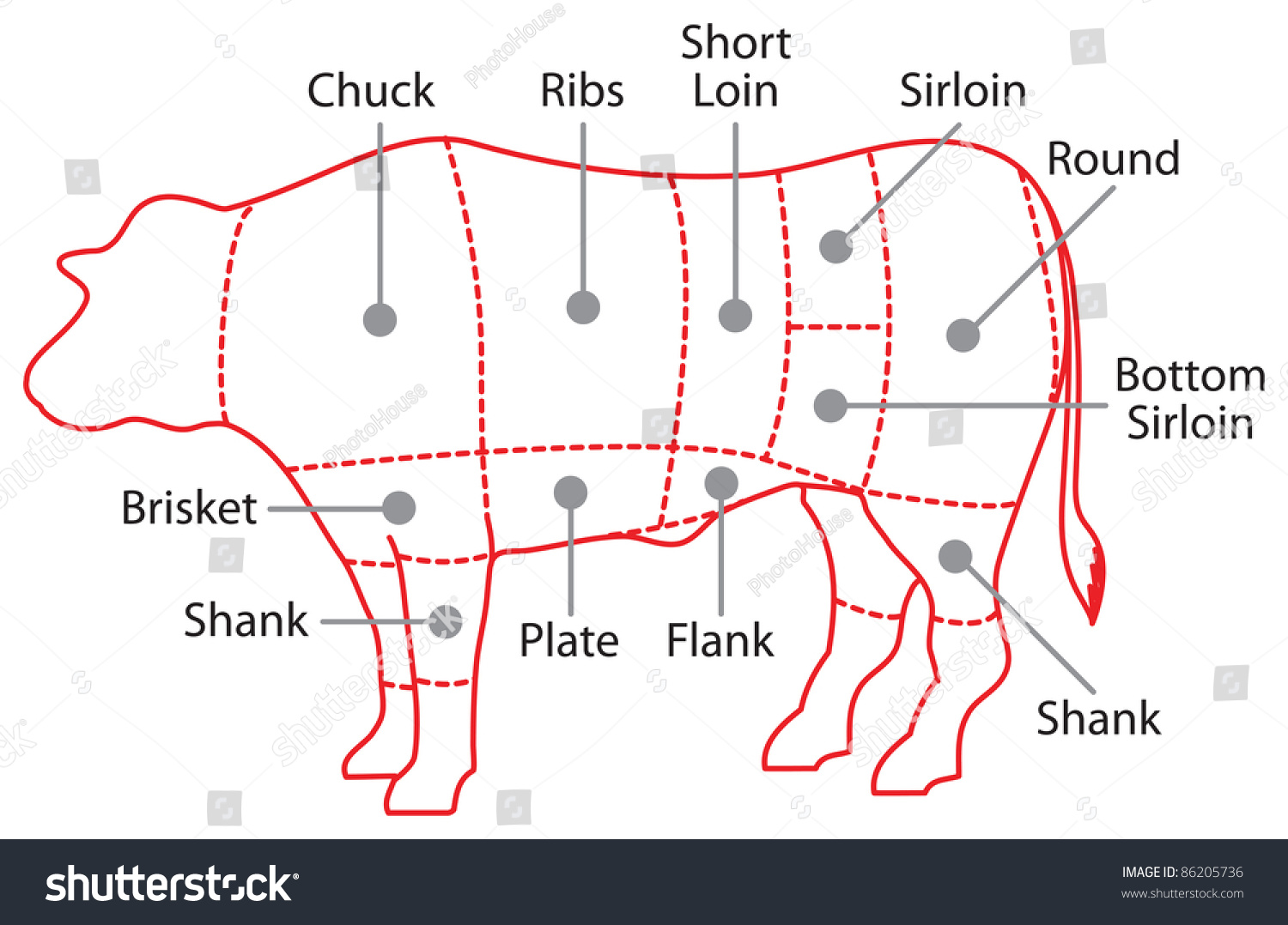 Beef Chart Poster Stock Illustration 86205736 - Shutterstock