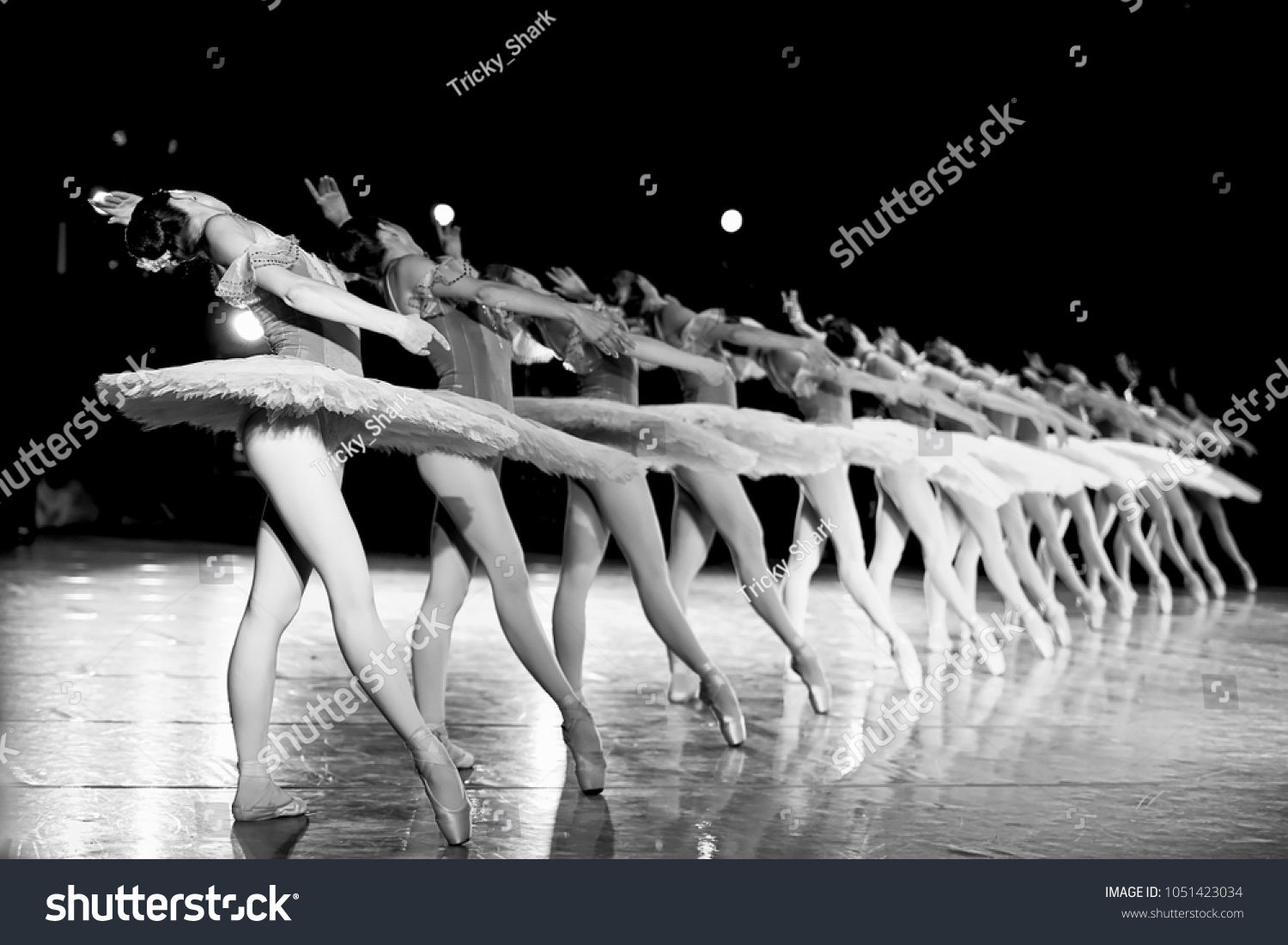 2,539 The Royal Ballet Images, Stock Photos & Vectors | Shutterstock