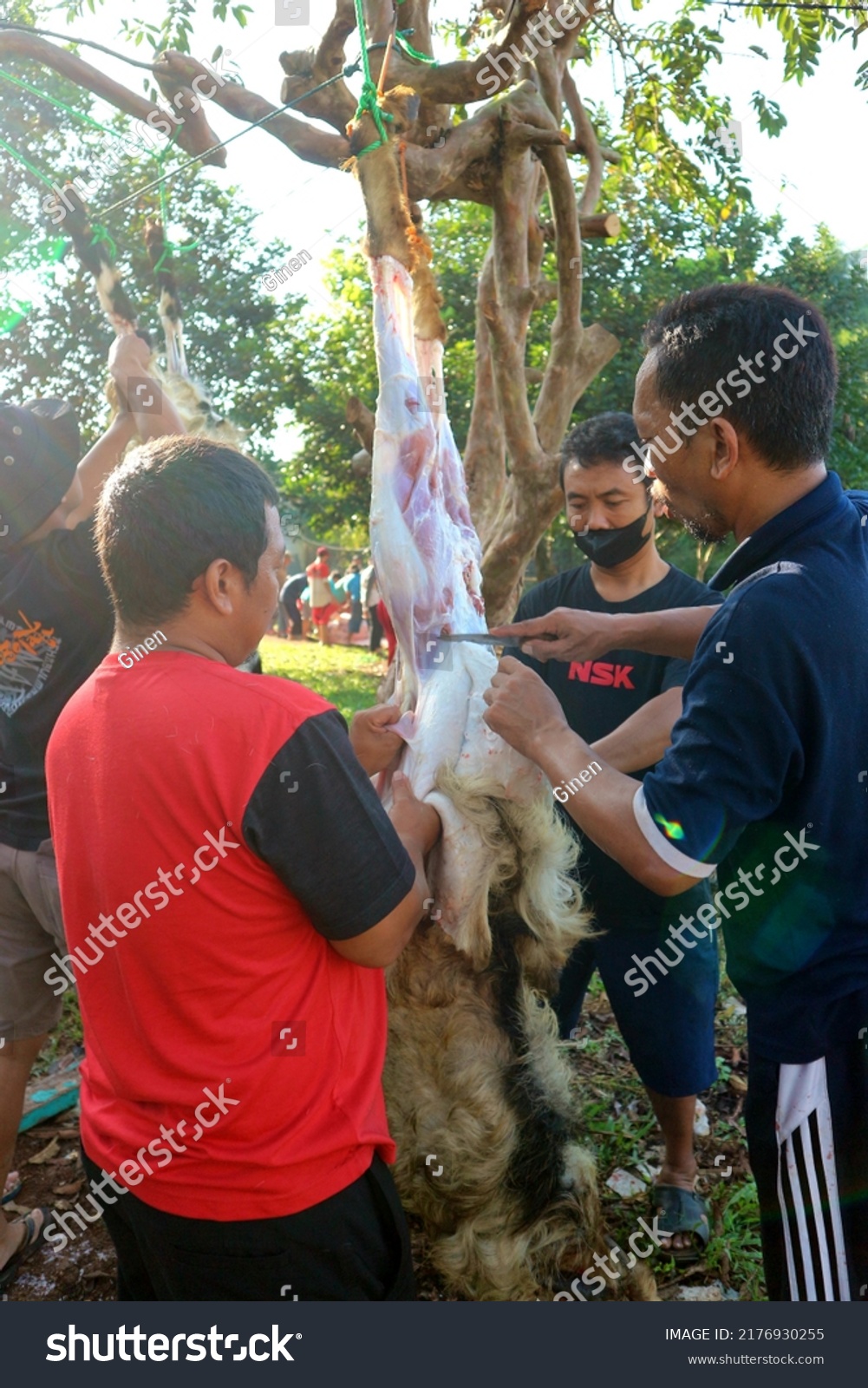 Bekasi 10 July 2022 Process Skinning Stock Photo 2176930255 | Shutterstock