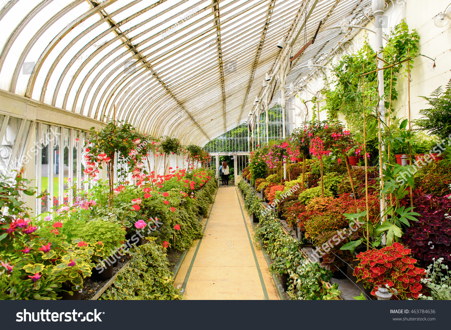 Belfast, Ni - July 14, 2016: Greenhouse In The Botanic Gardens Belfast ...