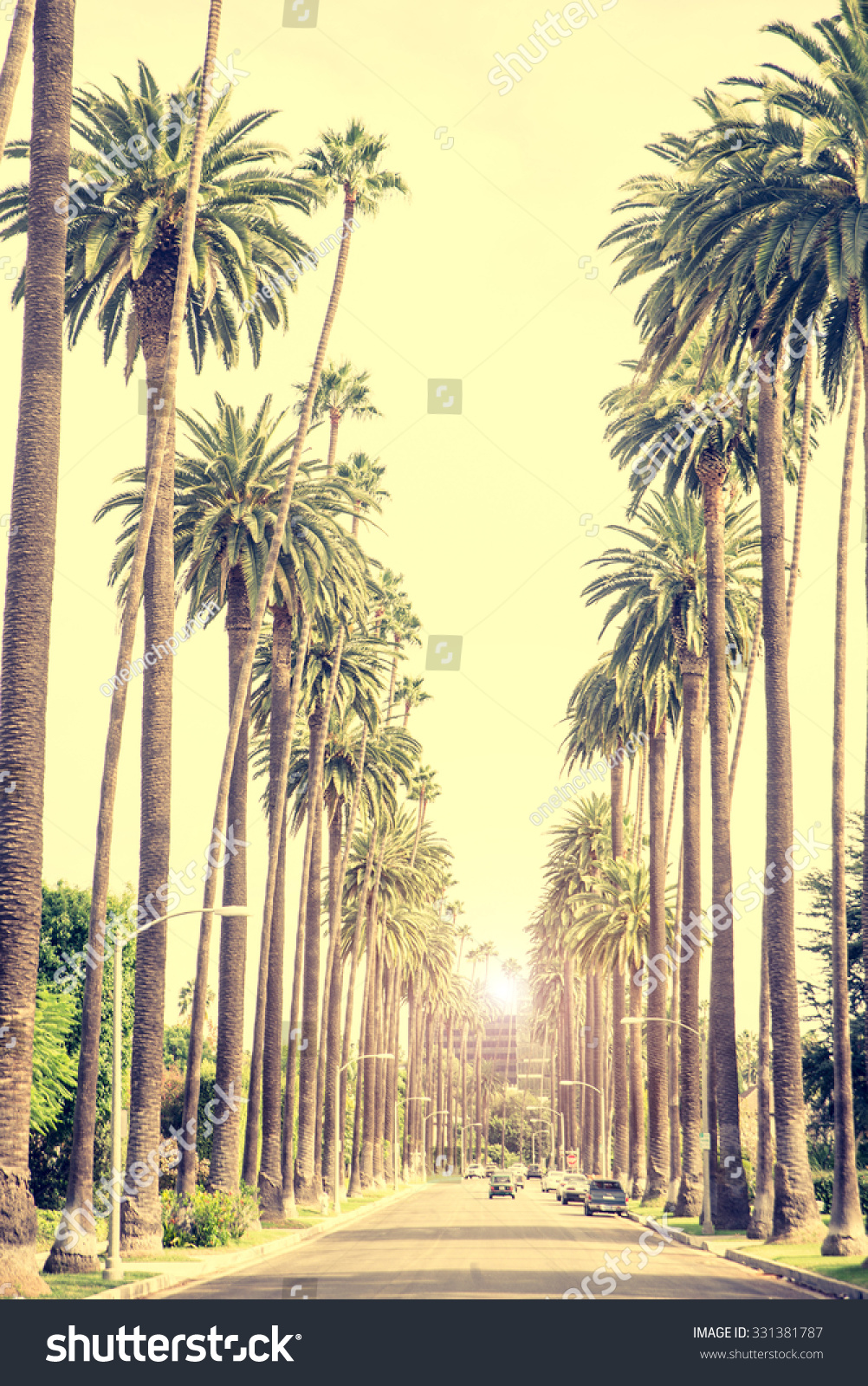 Beverly Hills Street Palm Trees Sunset Stock Photo (Edit Now) 331381787