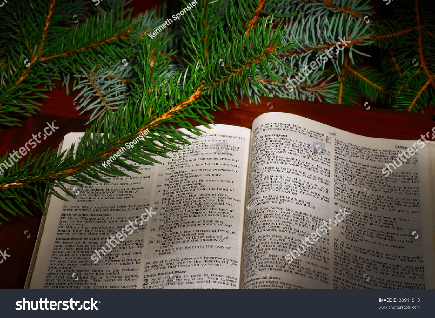 Bible Open To The Christmas Passage Of Luke 2 With Evergreen Sprigs ...