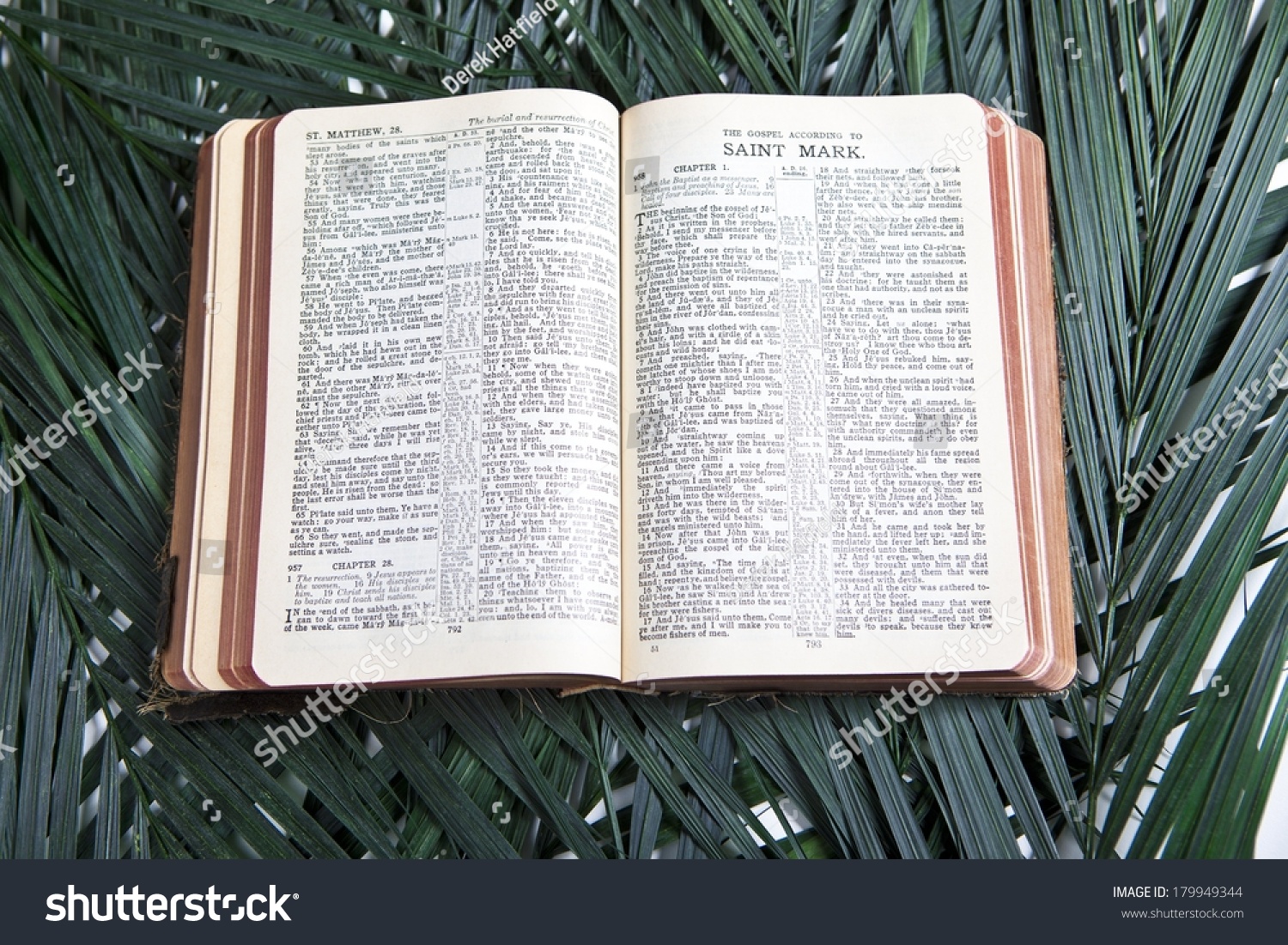 bible-palms-stock-photo-179949344-shutterstock