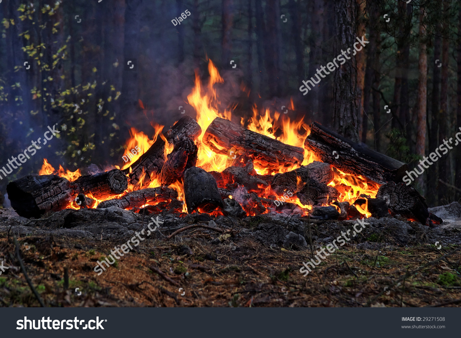 Big Bonfire Forest Stock Photo 29271508 - Shutterstock