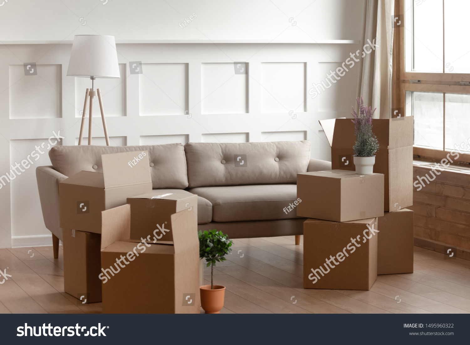 Big Cardboard Boxes Domestic Flowers Potted Stock Photo Edit Now