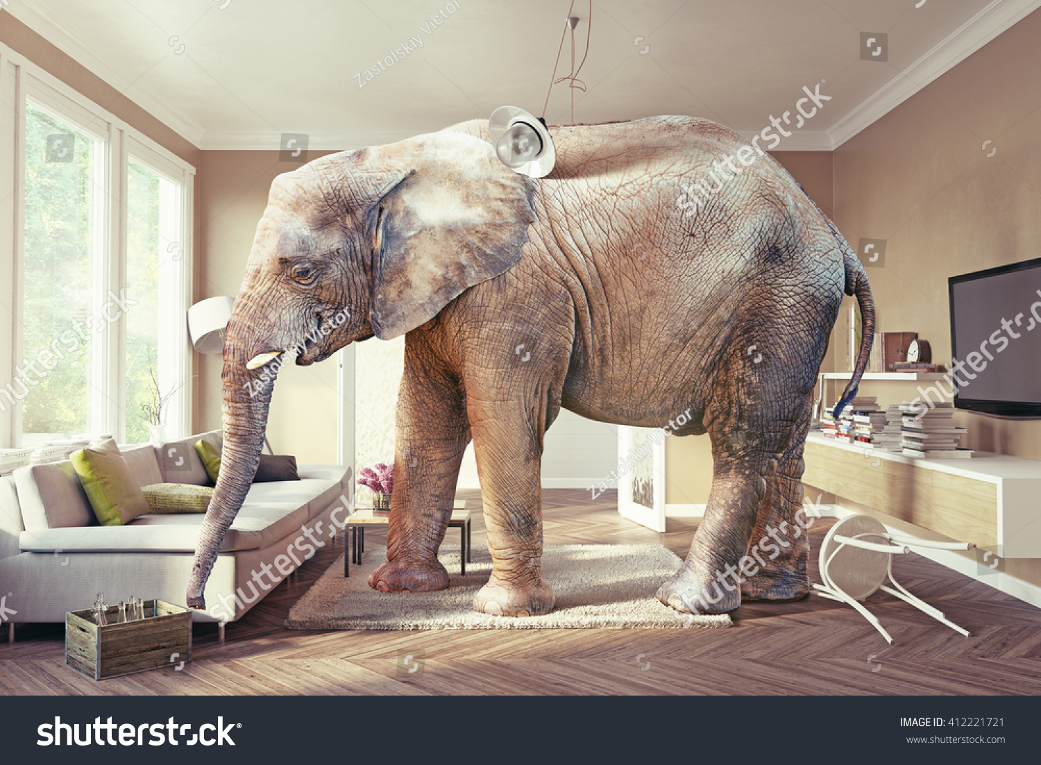 Big Elephant Case Beer Living Room Stock Photo 412221721