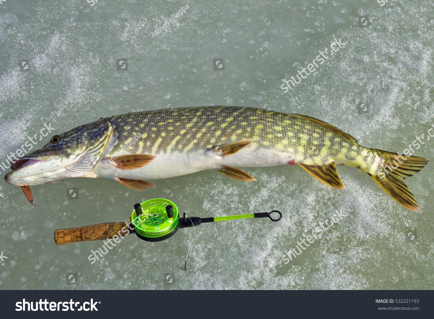 ice rod for pike