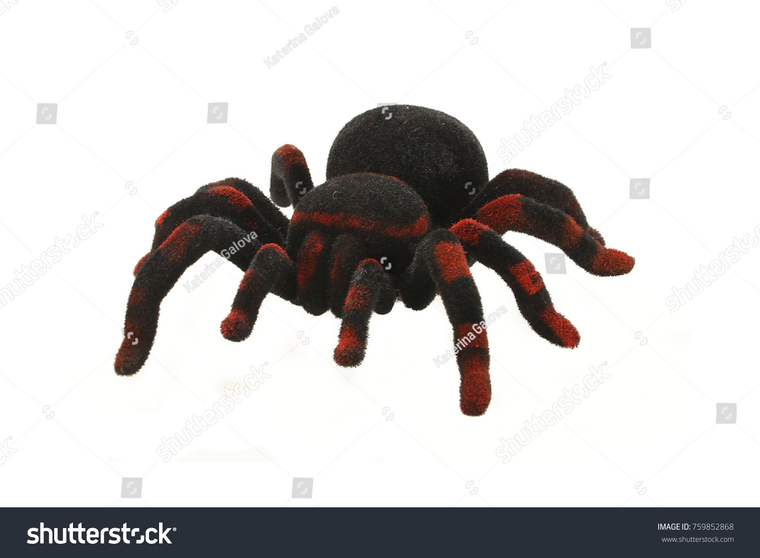 big spider toy