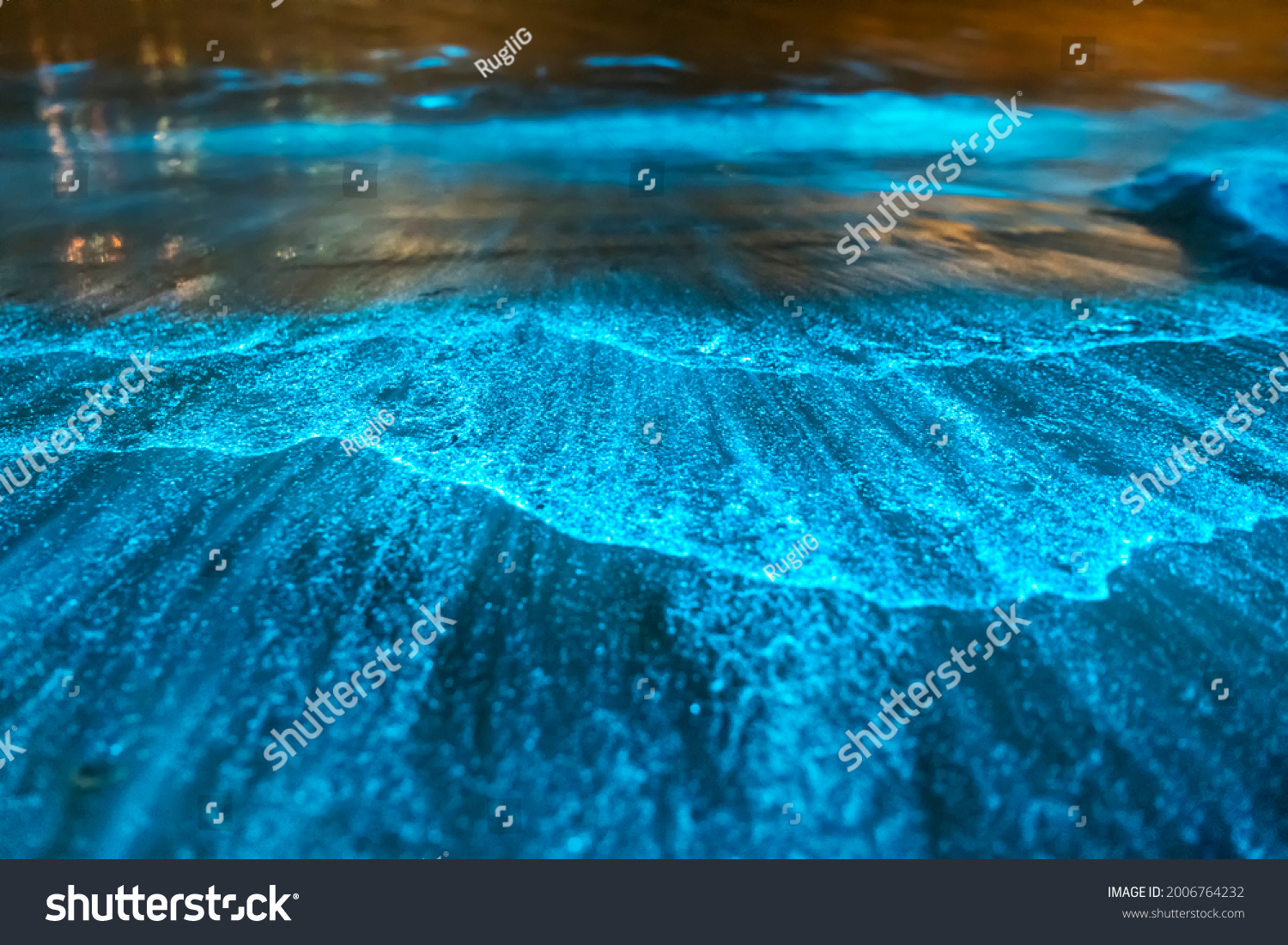 Bioluminescence wave