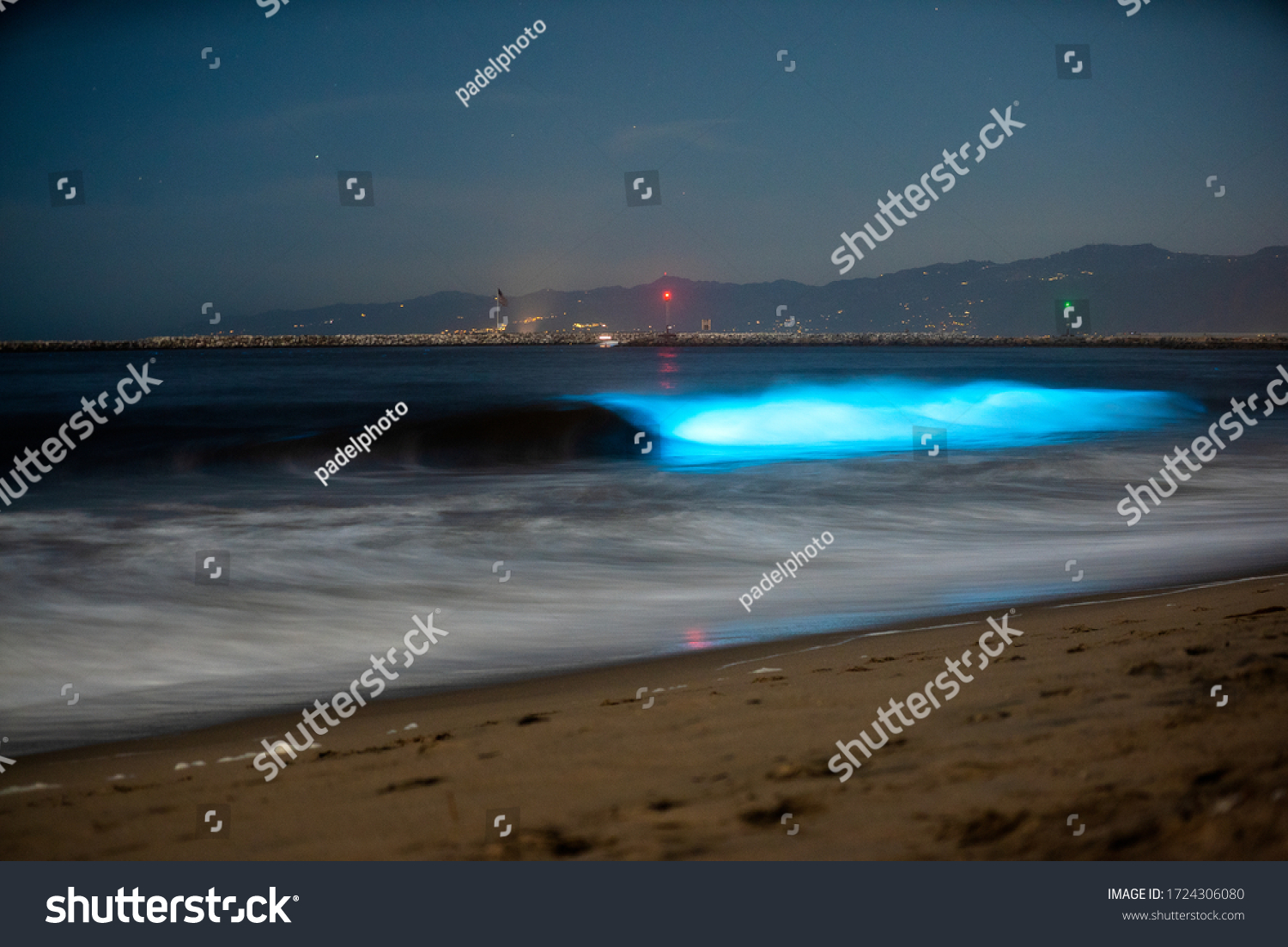 Bioluminescent Waves Crash On Beach Los Stock Photo (Edit Now) 1724306080