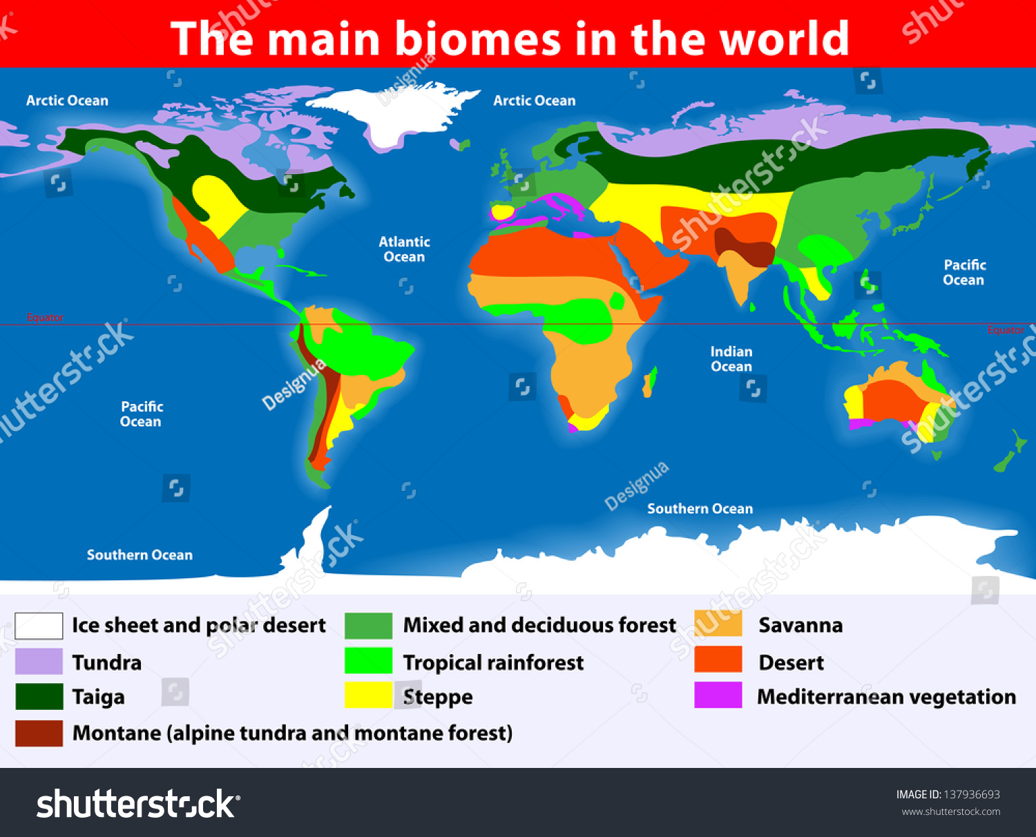 Biotope Earths Terrestrial Biomes Map Stock Illustration 137936693 ...