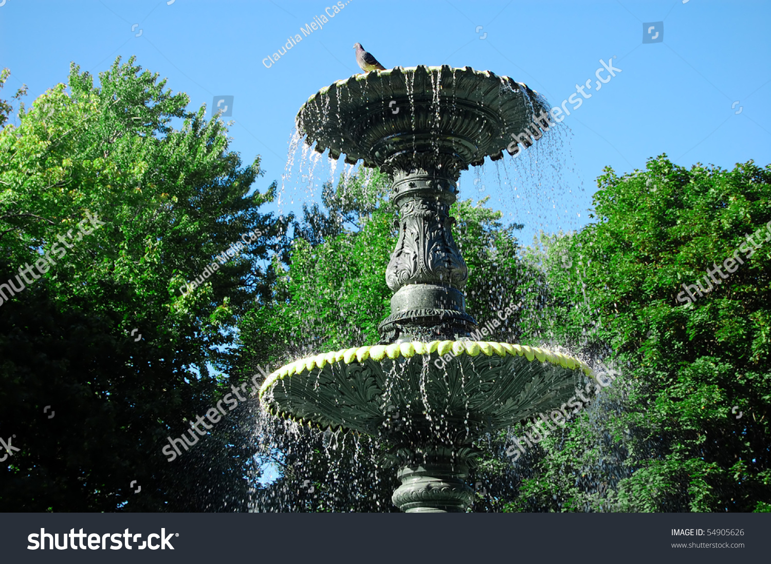 Bird Fountain Montreal Stock Photo 54905626 - Shutterstock