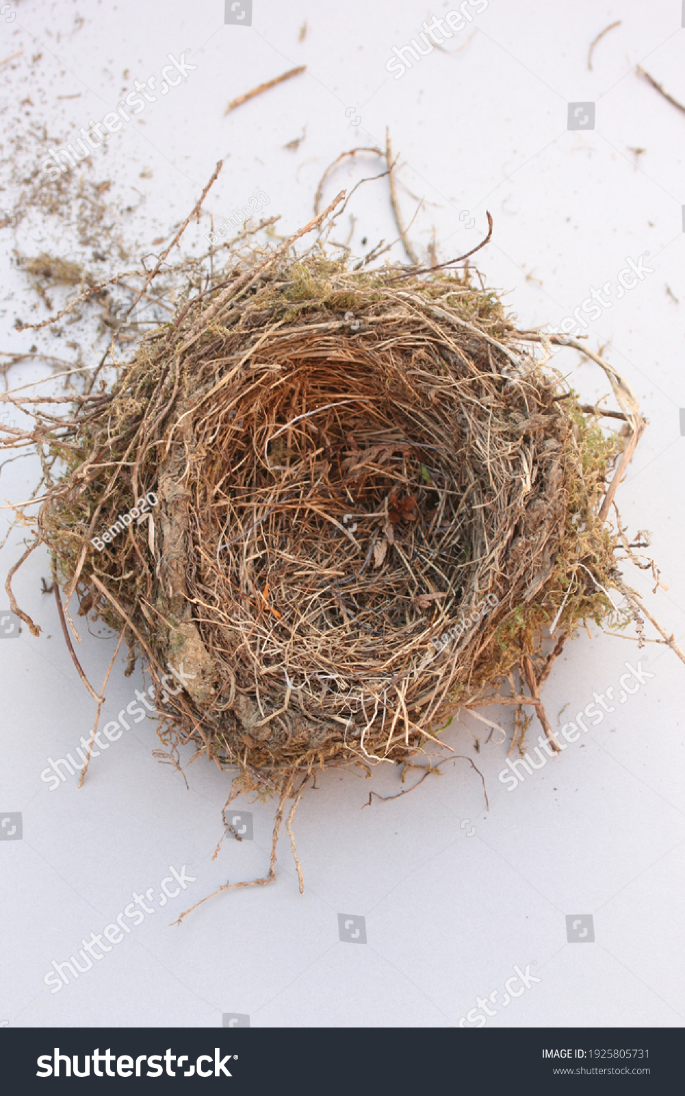 412,153 Bird nest. Images, Stock Photos & Vectors | Shutterstock