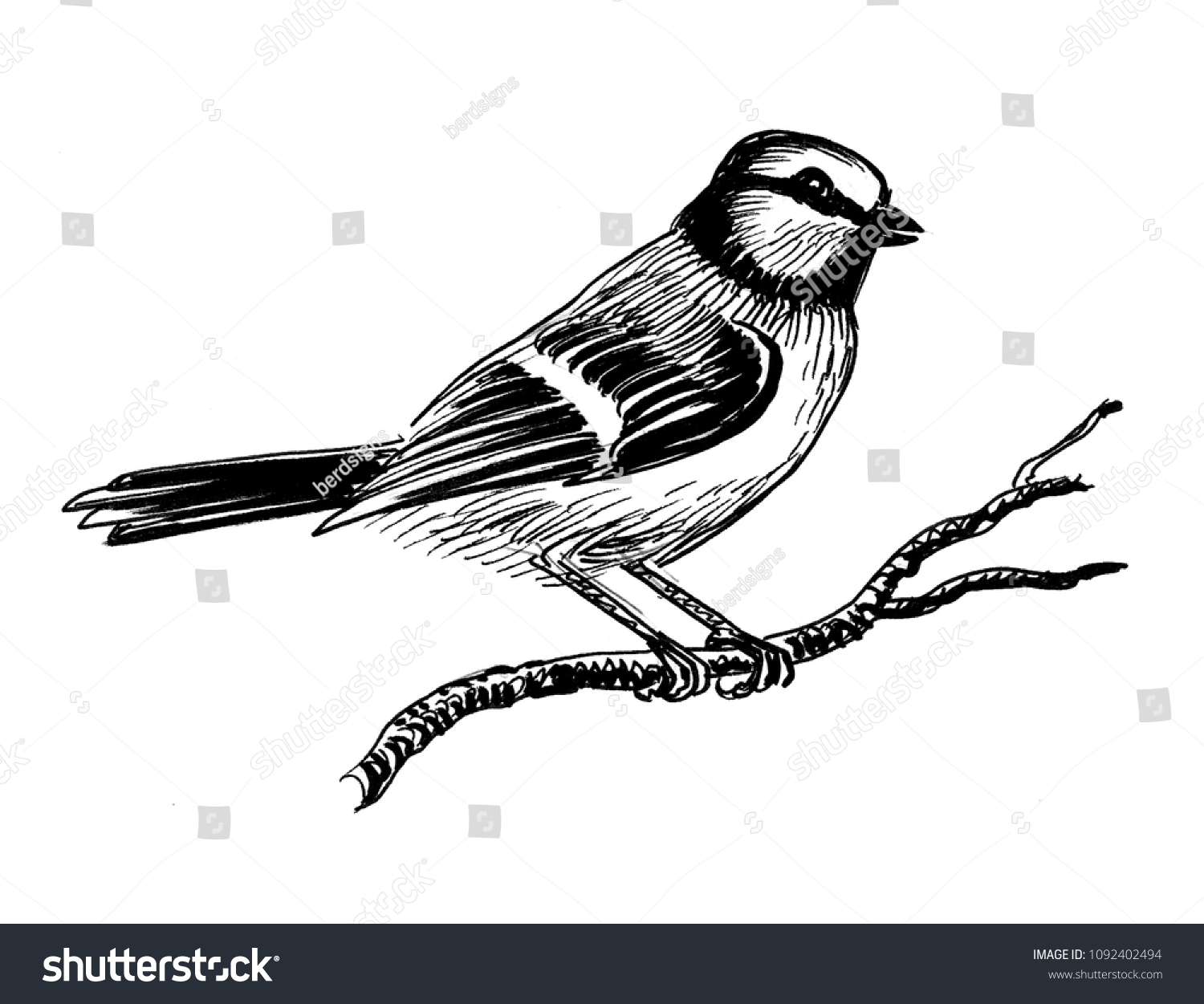 1,189,130 Bird on a branch Images, Stock Photos & Vectors | Shutterstock