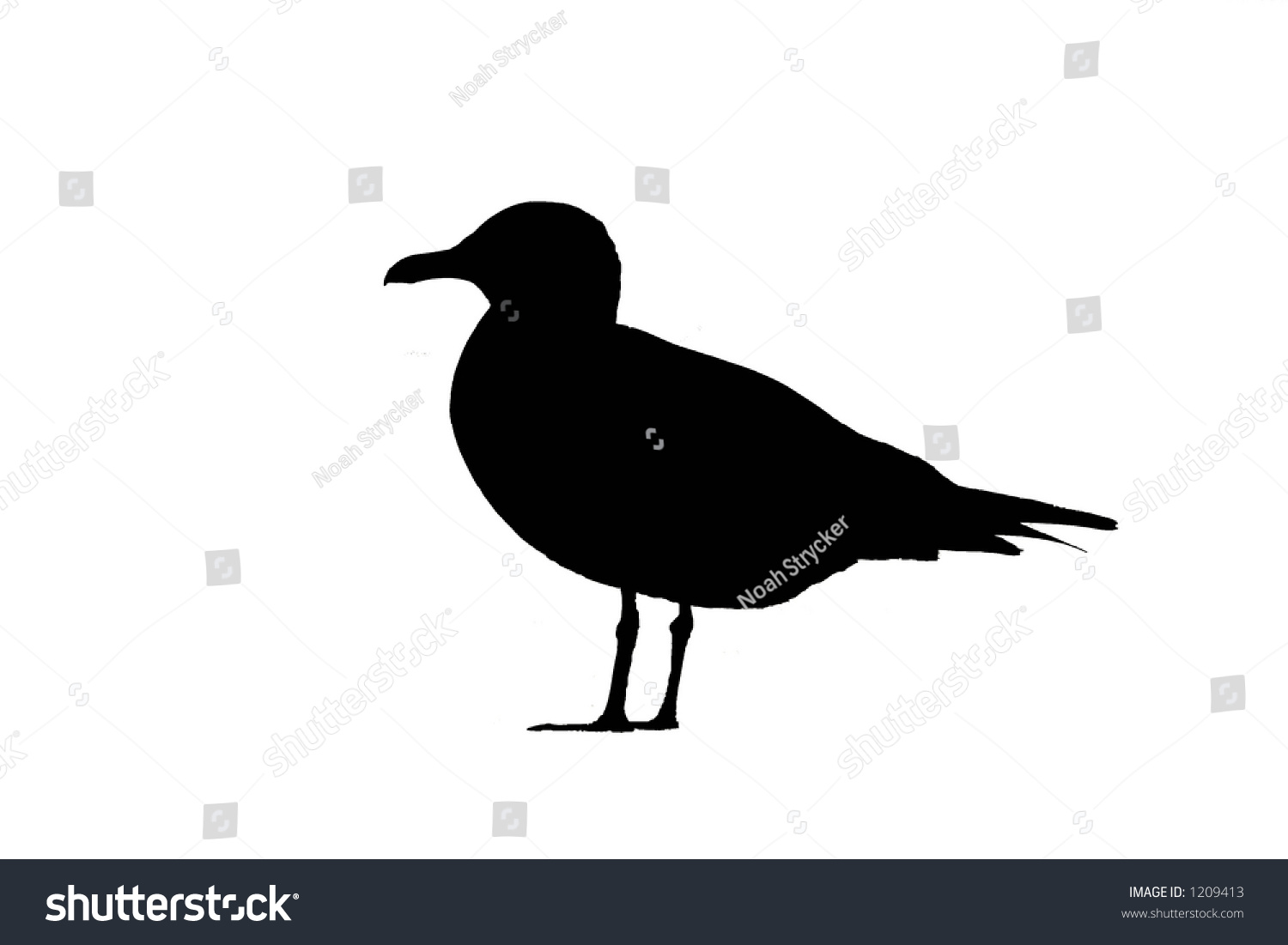 Bird Silhouette: Gull Stock Photo 1209413 : Shutterstock