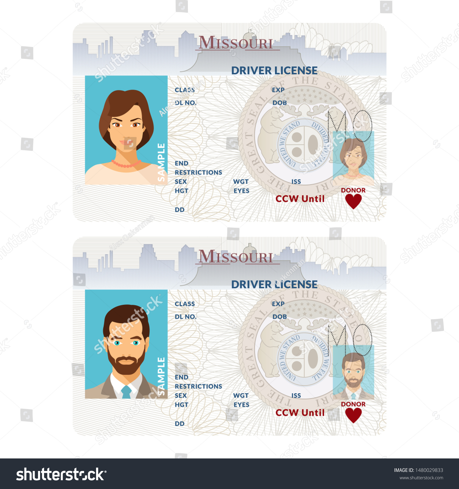 Bitmap Template Sample Driver License Plastic Stock Illustration With Blank Drivers License Template