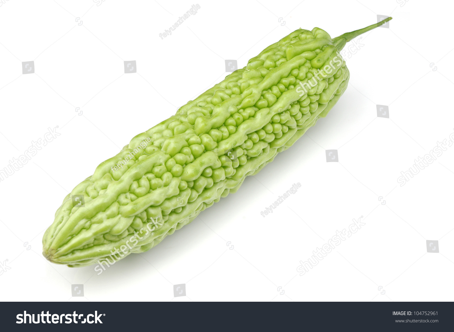 Bitter Gourd Stock Photo 104752961 - Shutterstock