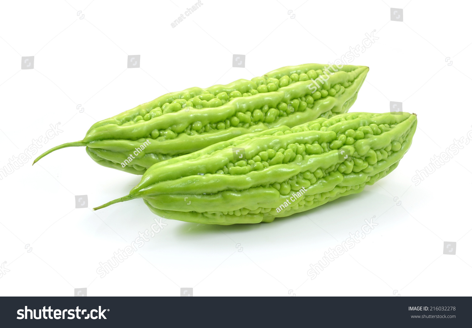 Bitter Melon Bitter Gourd Stock Photo 216032278 - Shutterstock