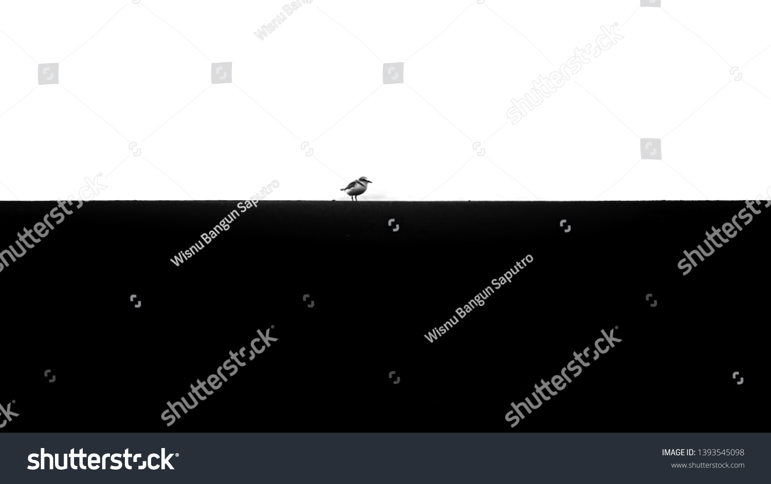 1 Black adn white girl abstract Images, Stock Photos & Vectors ...