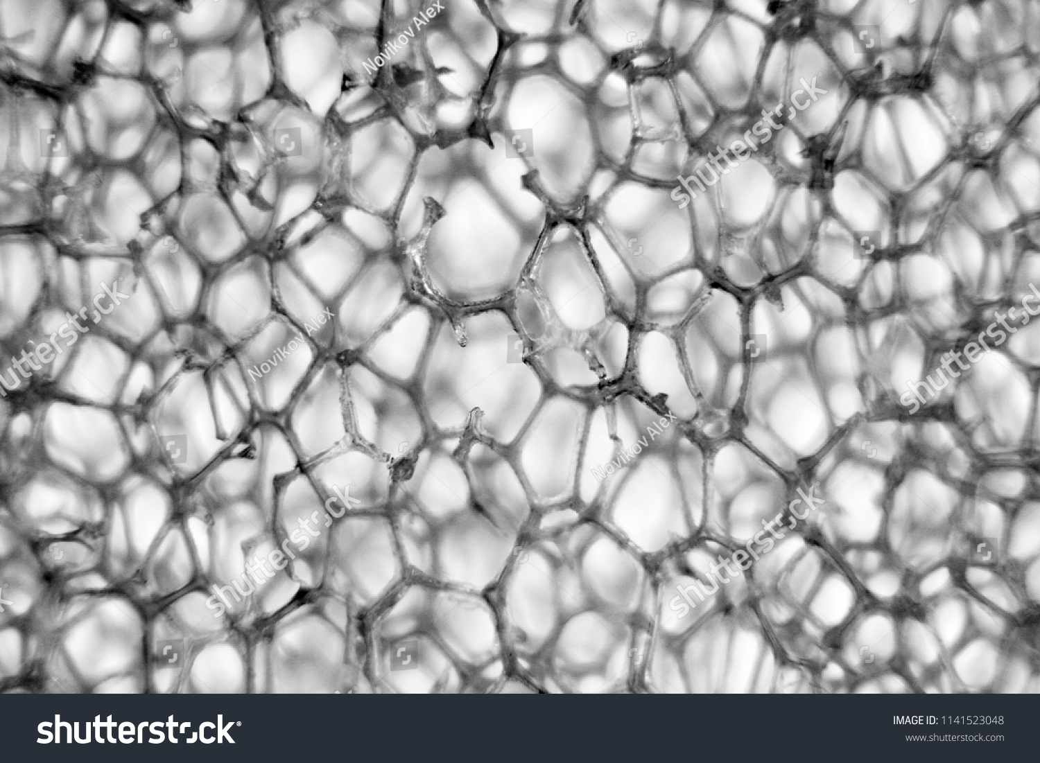 White Cellular Black Stock Photo ... Structure Polyurethane