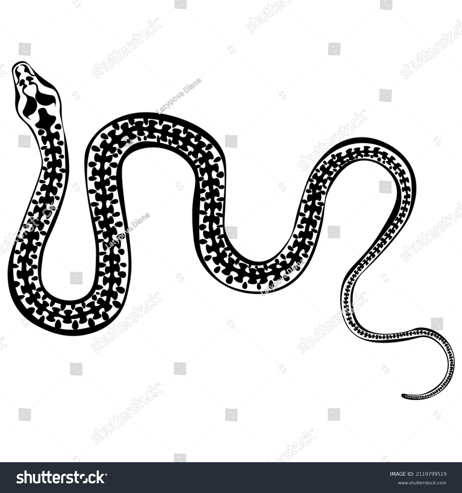 Black White Drawing Venomous Snake Viper Stock Illustration 2119799519