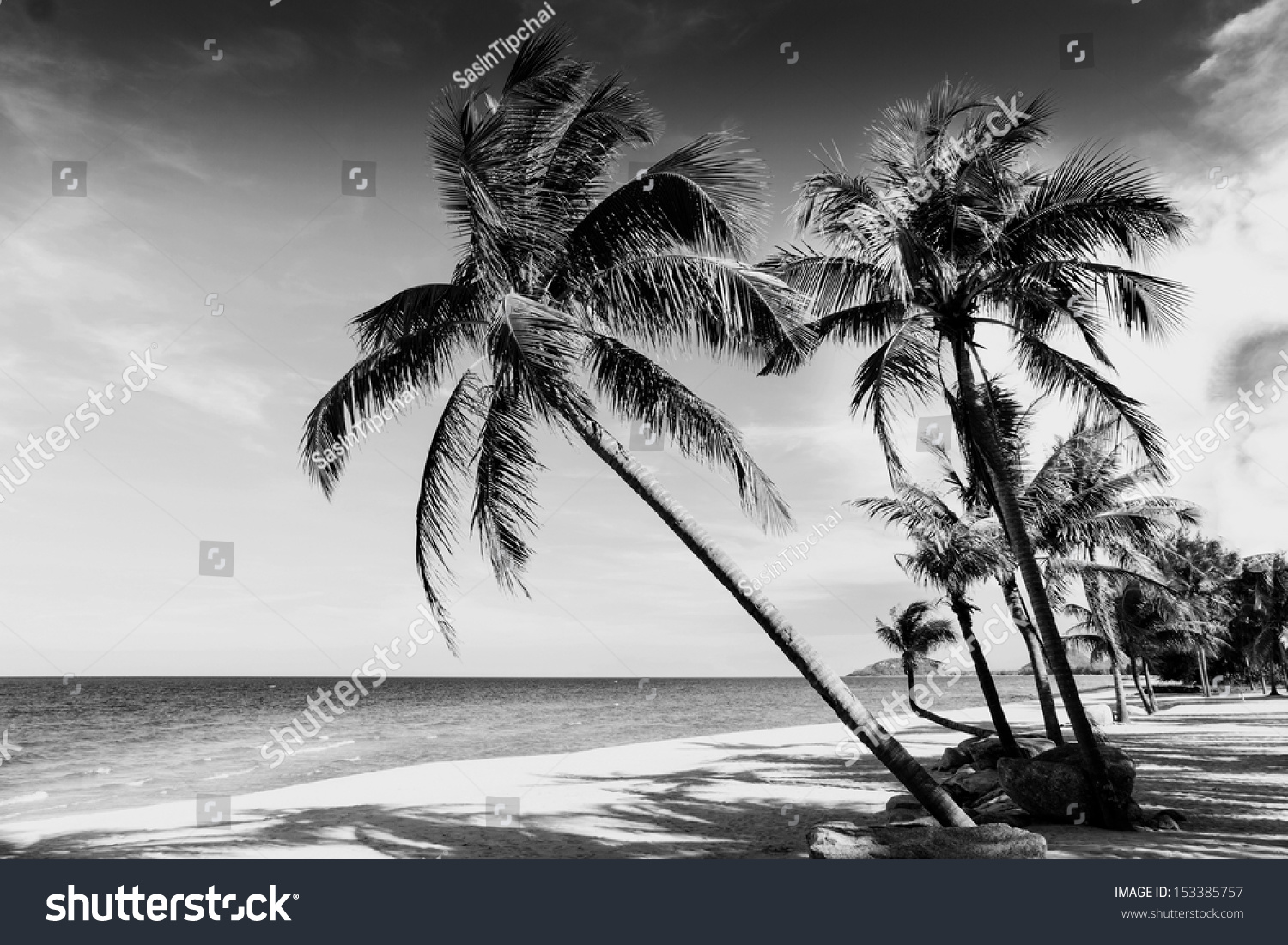 Black White Image Tropical Beachthailand Stock Photo 153385757 ...