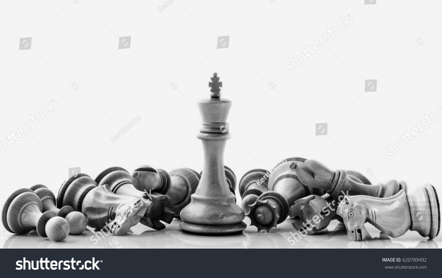 Black White King Knight Chess Setup Stock Photo (Edit Now) 620789492