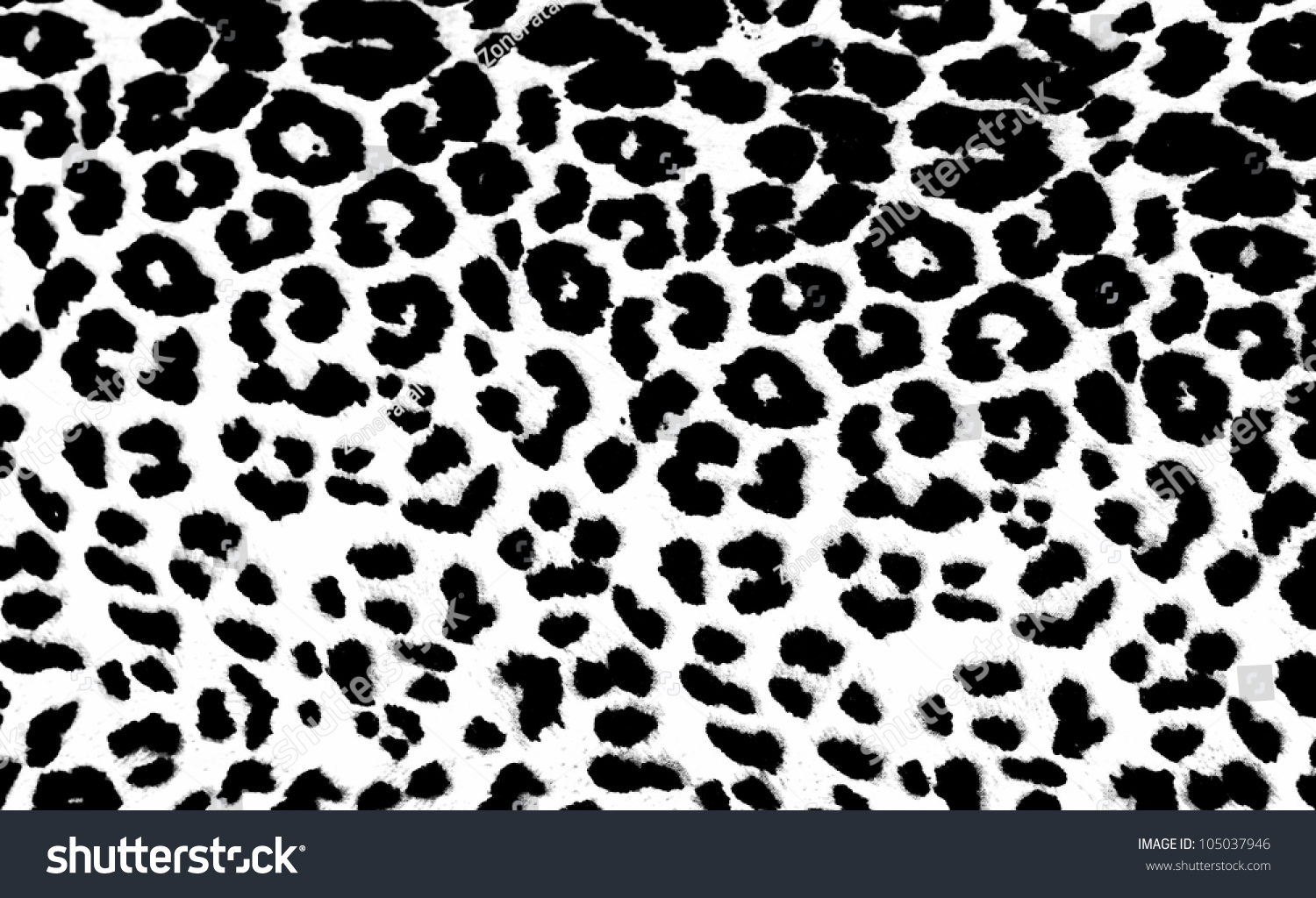 Black And White Leopard Print Stock Photo 105037946 : Shutterstock