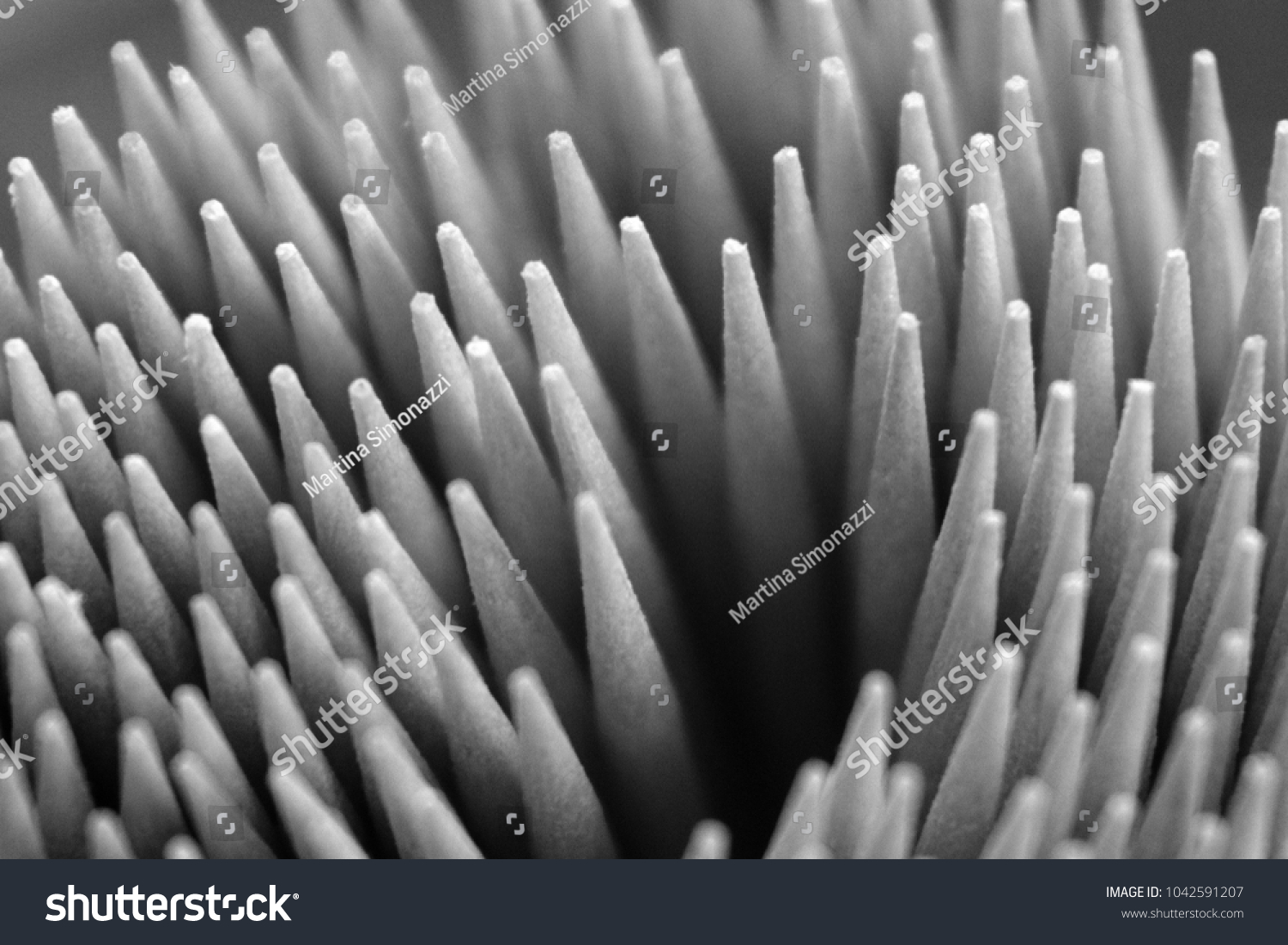 black and white toothpicks