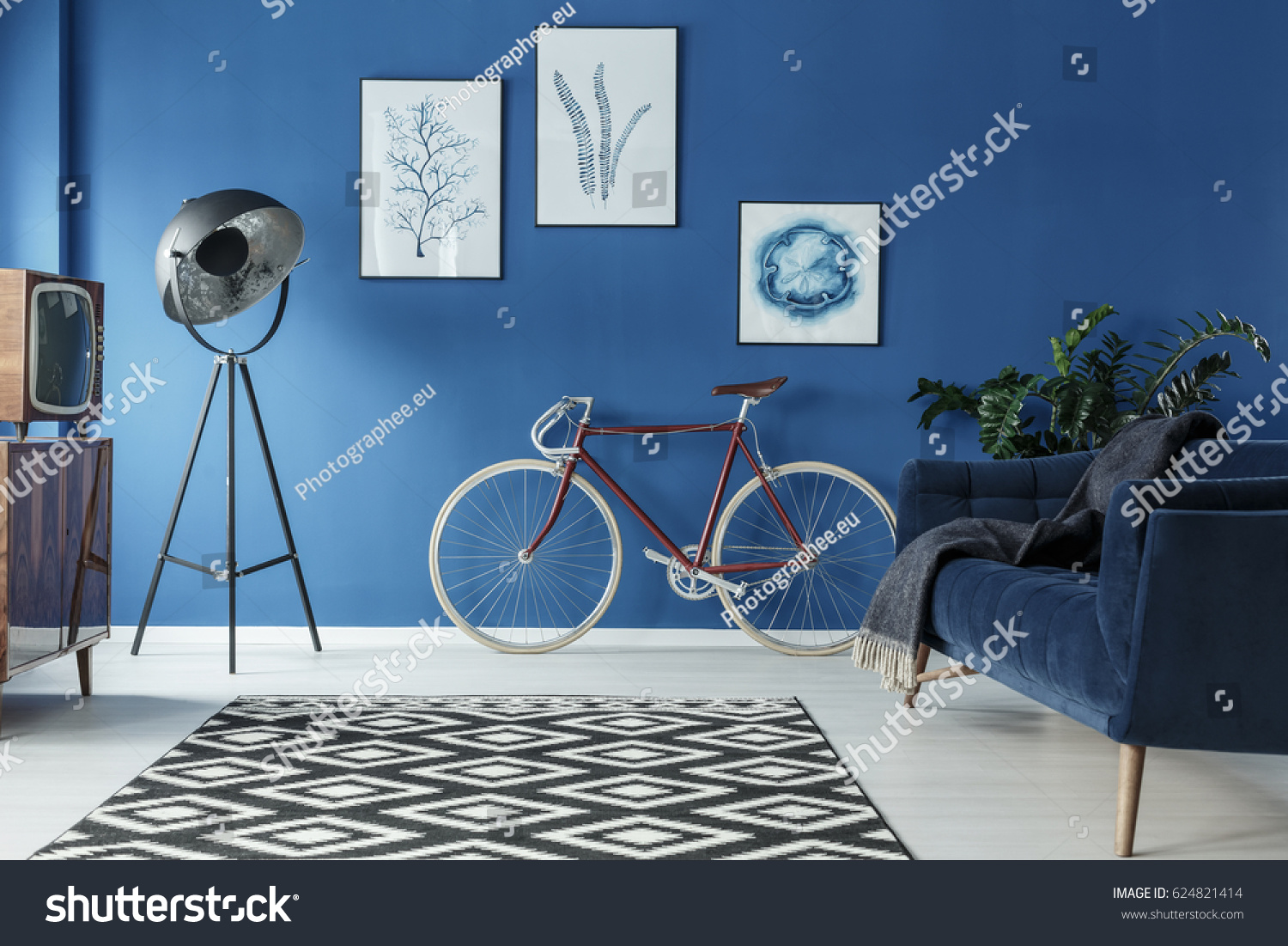 Black White Patterned Carpet Trendy Blue Stockfoto Jetzt