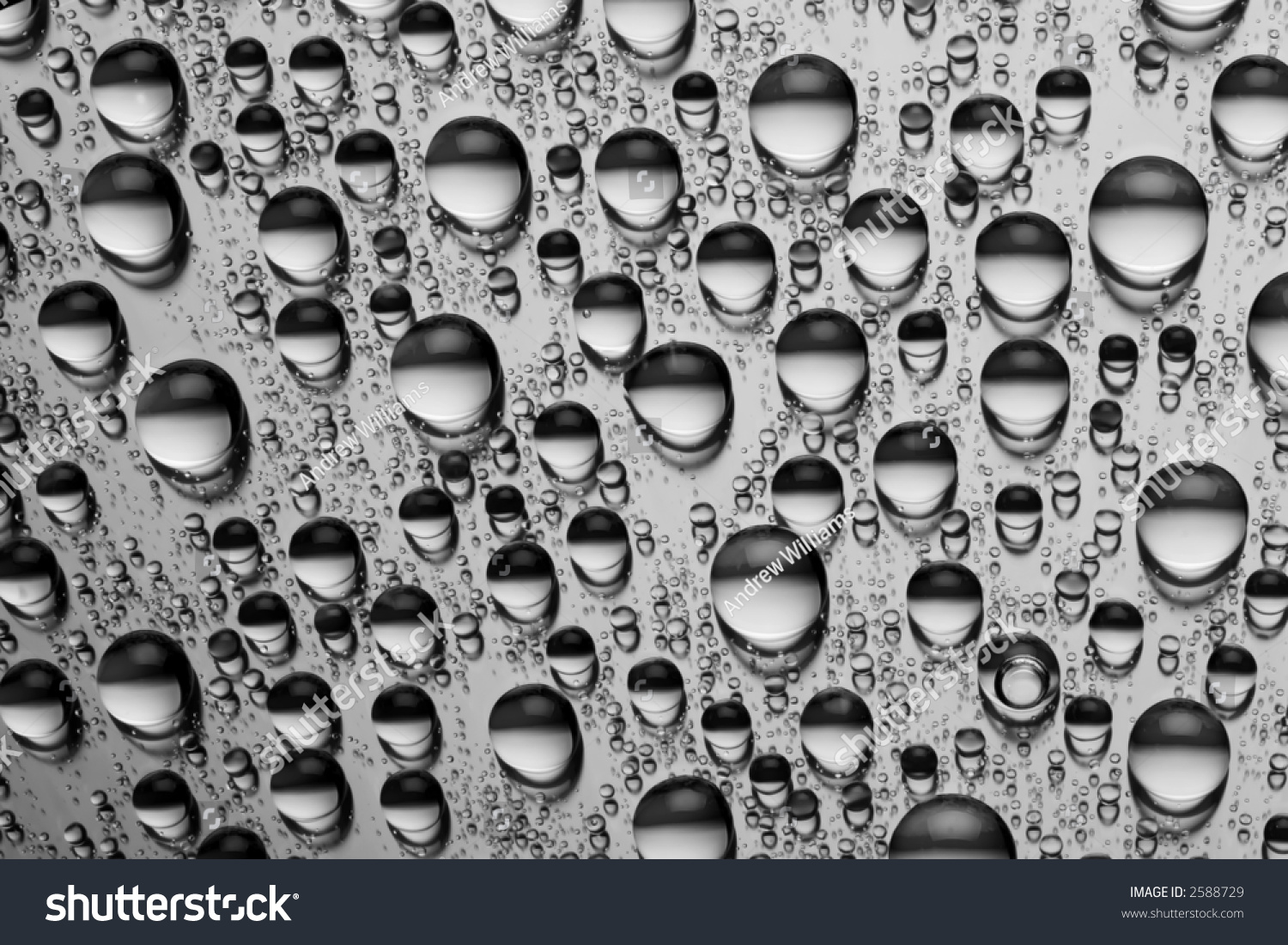 Black And White Photo Of Water Drops On A Metallic Surface - 2588729 ...