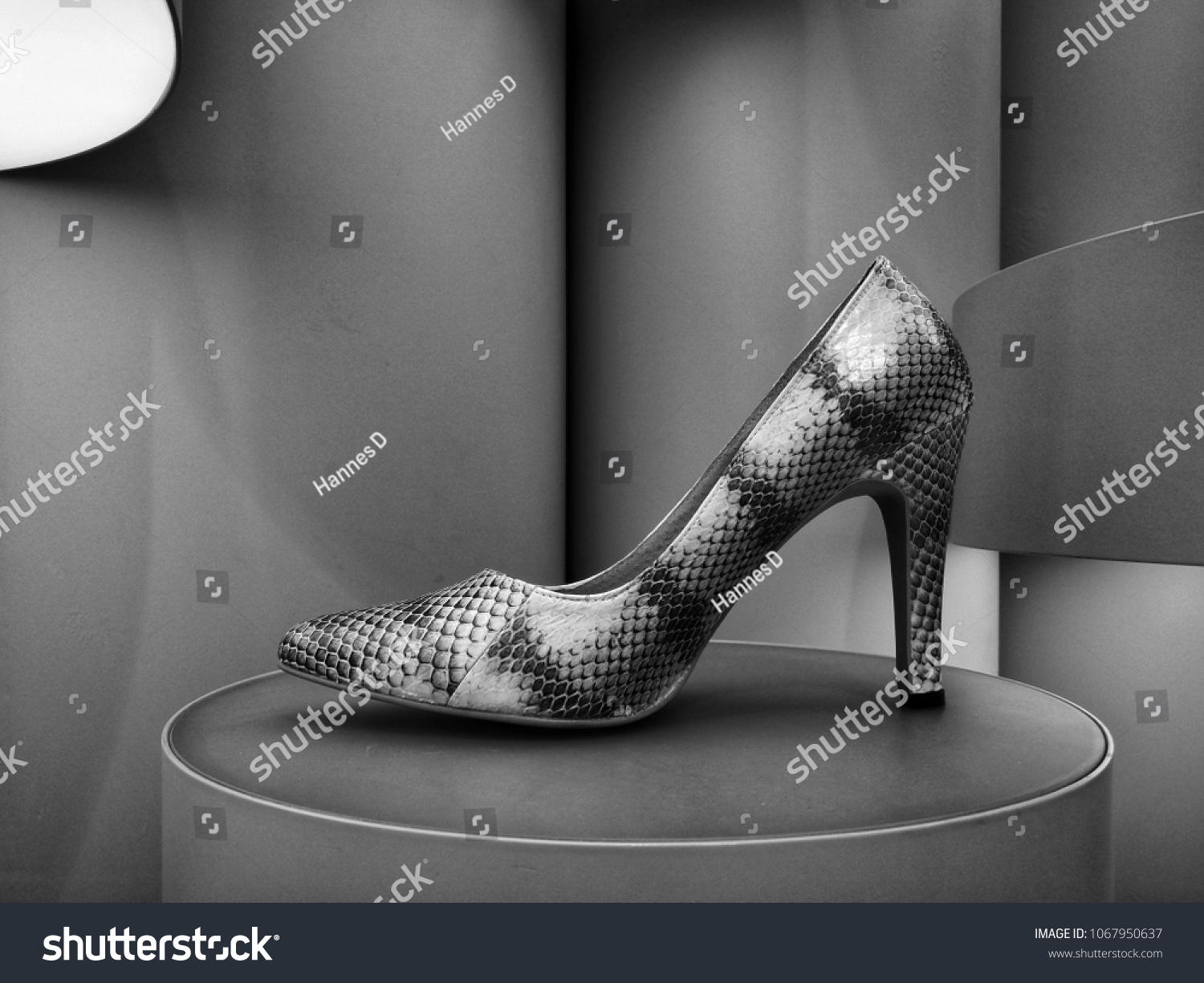 Black and white picture of classy snake skin high heel shoe on display