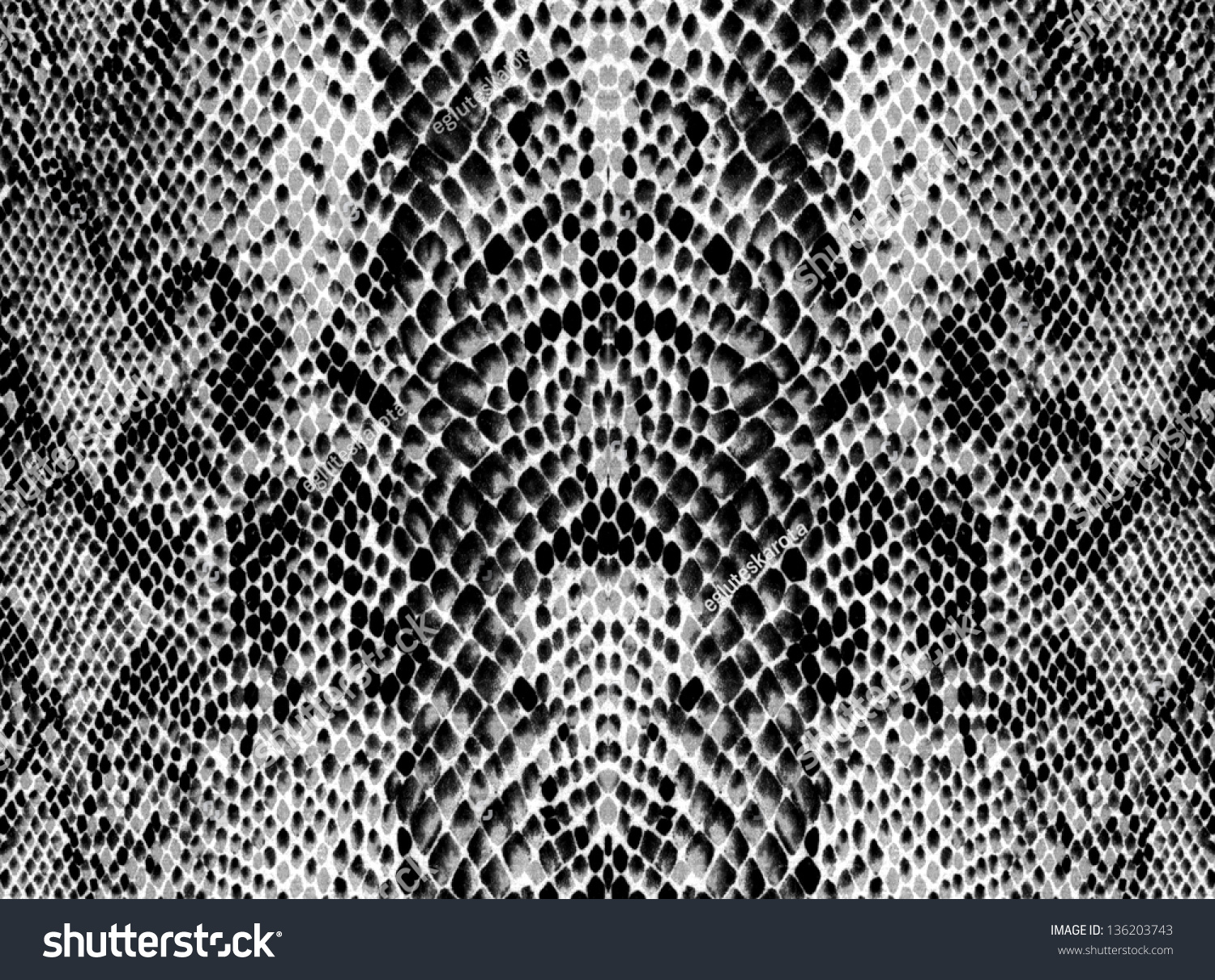 Black White Snake Skin Stock Photo 136203743 - Shutterstock