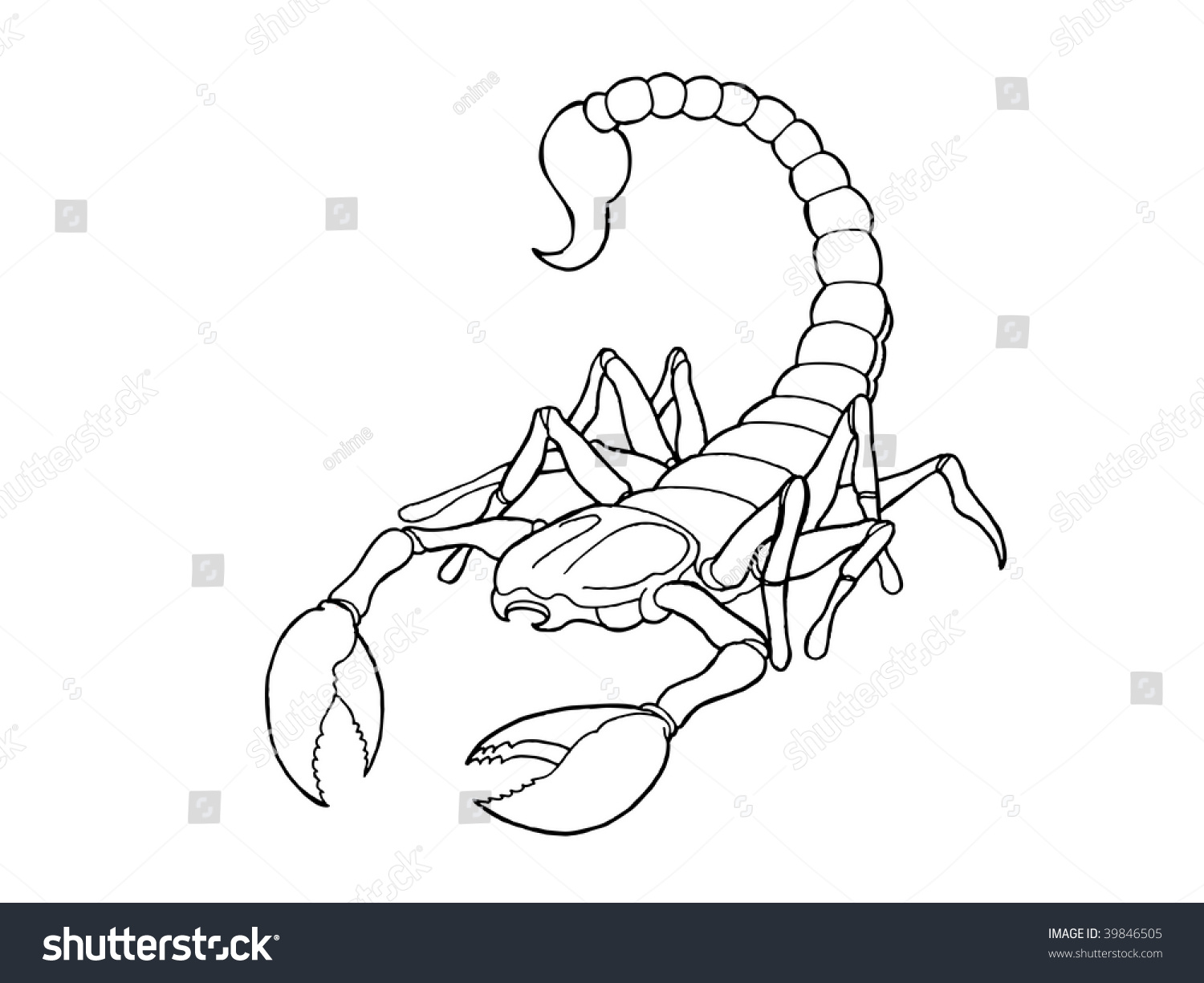 Black White Tattoo Illustration Stylized Scorpion Stock Illustration ...