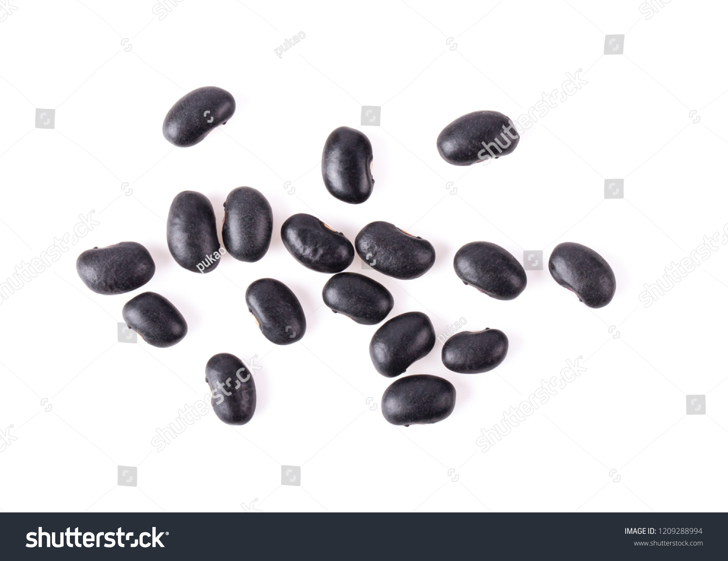 174 Black beans watercolor Stock Photos, Images & Photography