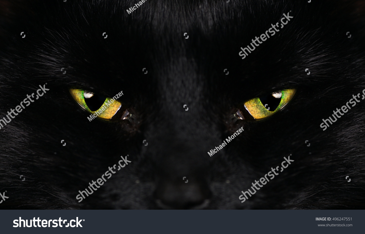 16,891 Glow dark animals Stock Photos, Images & Photography | Shutterstock