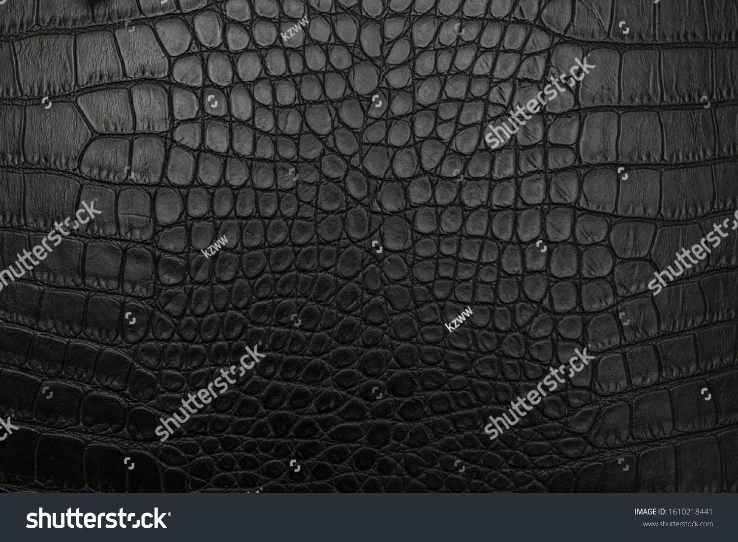 Black Crocodile Skin Background Texture Stock Photo 1610218441