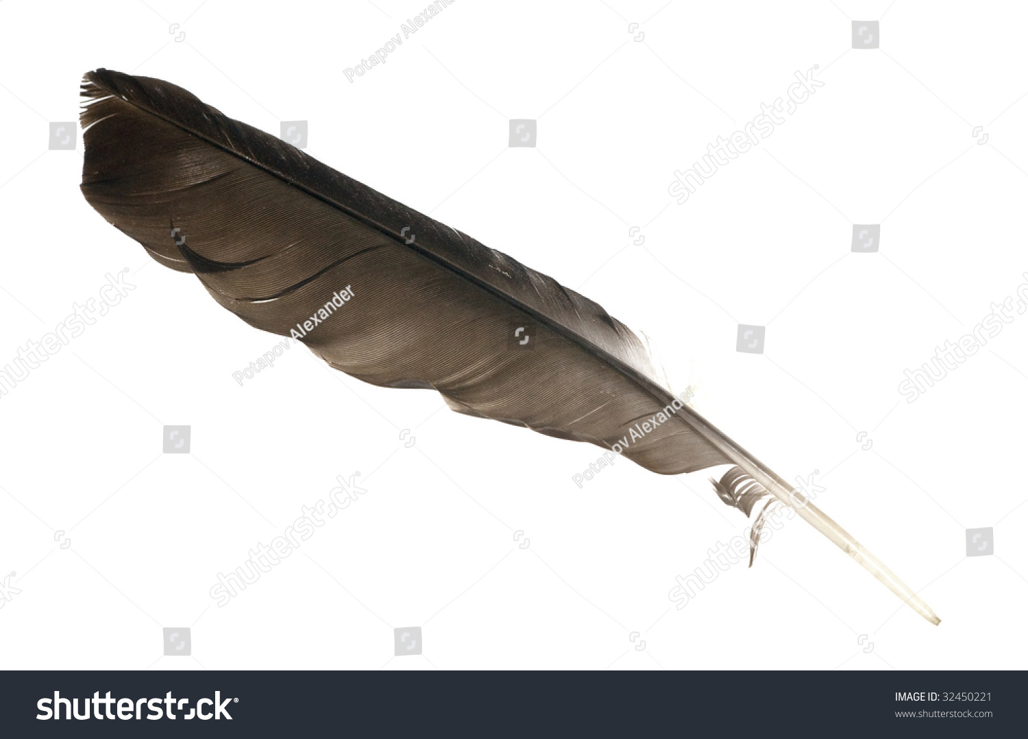 Black Crow Feather Isolated On White Background Stock Photo 32450221 ...